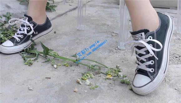 性感肉丝帆布鞋踩花