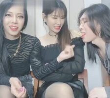 【松紫】全明星阵容调狗 bf19419