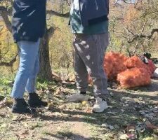 【简爱】户外袜子塞嘴虐打胖墩 bf19834