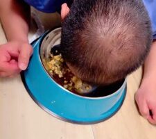 【安可S】圈养生活第四天-户外餐厅脚下喂食【双视角版】 bf27050