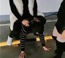 【广州迪迪】双S-户外停车场遛狗【双视角版】 bf35718