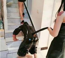 【圈养基地】双S-彻底驯化人形犬 bf45127