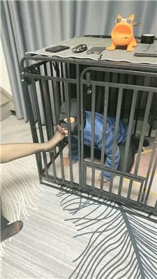 【梦露】双S双M-重度虐打/捆绑踢踹/舔高跟黑丝  JS241207-8