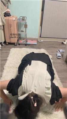 【白兔】翻车场-打哭母畜 JS241213-24