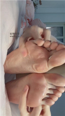 【风筝】多角度贴屏    241214-8