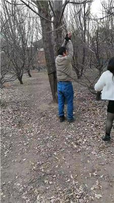 【沐颜】野外-捆绑树上重刑鞭打【双视角版】 JS250112-20