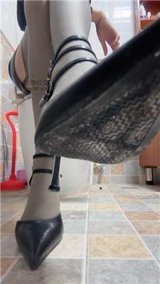 【酒鸽】黄金灯    250201-5