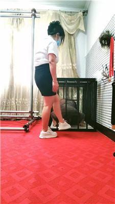【沐颜】捆绑囚禁狗笼虐 JS250614-45