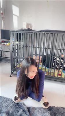 【鹿S】囚禁狗笼羞辱虐 JS250706-1