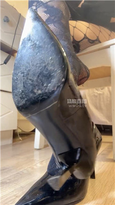 【咬猫】暴毙全家跪下忏悔    251102-33