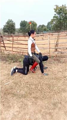 【爱丽丝】用人形犬练马术 bf59721